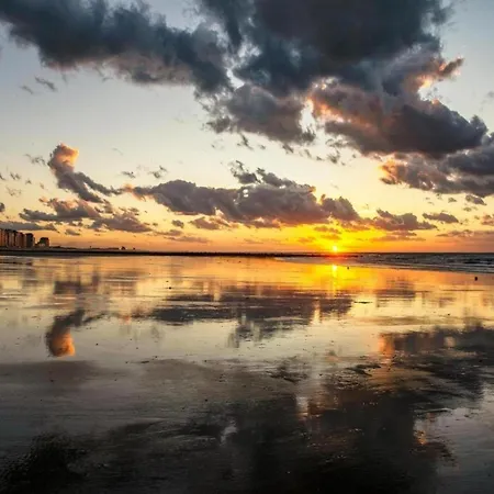 In Near The Apartamento Nieuwpoort