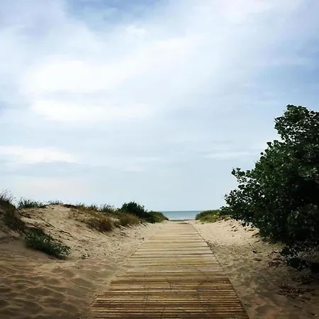 Lägenhet In Near The