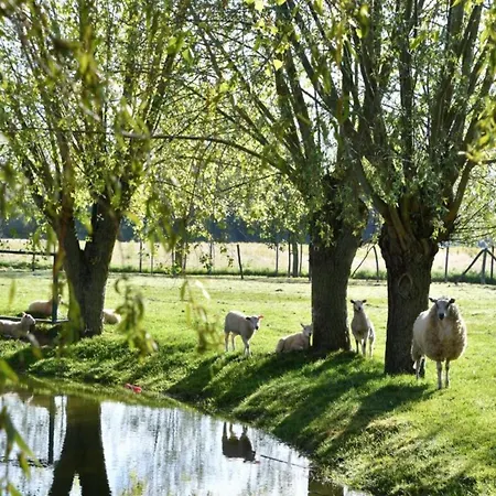 In Near The Apartamento *