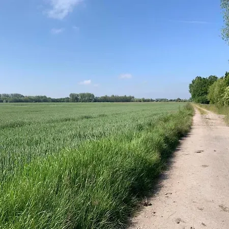 In Near The Appartement Nieuwpoort