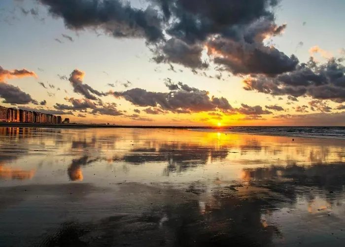 In Near The דירה ניופורט