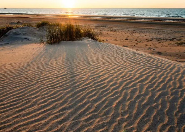 In Near The * ניופורט