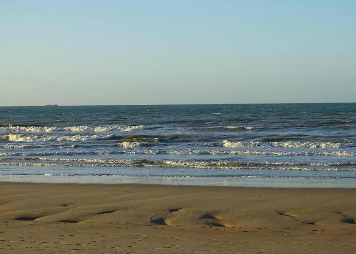 דירה In Near The ניופורט