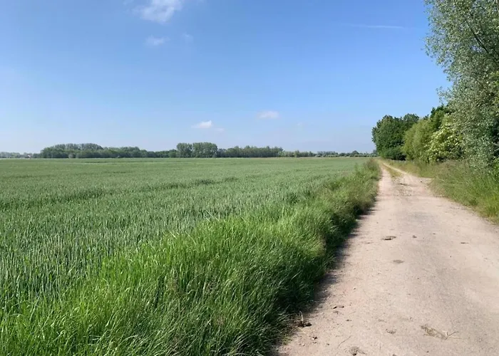 In Near The דירה ניופורט